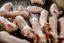 Usina de BioGás - produção de energia gerada a partir, neste caso, dos dejetos de suínos -, em Medianeira, região oeste do Paraná.