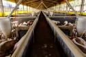 Usina de BioGás - produção de energia gerada a partir, neste caso, dos dejetos de suínos -, em Medianeira, região oeste do Paraná.