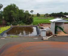 Vizinhos compartilham biodigestor para produzir energia limpa da suinocultura 