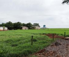 Vizinhos compartilham biodigestor para produzir energia limpa da suinocultura 