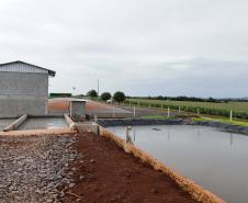 Vizinhos compartilham biodigestor para produzir energia limpa da suinocultura 