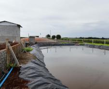 Vizinhos compartilham biodigestor para produzir energia limpa da suinocultura 