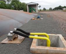 Vizinhos compartilham biodigestor para produzir energia limpa da suinocultura 