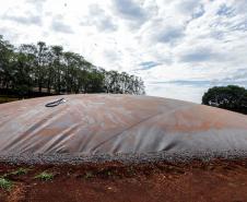 Usina de BioGás - produção de energia gerada a partir, neste caso, dos dejetos de suínos -, em Medianeira, região oeste do Paraná.