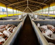 Usina de BioGás - produção de energia gerada a partir, neste caso, dos dejetos de suínos -, em Medianeira, região oeste do Paraná.