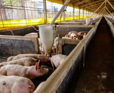 Usina de BioGás - produção de energia gerada a partir, neste caso, dos dejetos de suínos -, em Medianeira, região oeste do Paraná.