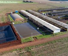 Biogás diminui custos de produção e gera renda para suinocultores de Pato Bragado