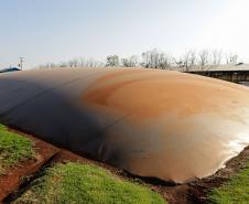 Biogás diminui custos de produção e gera renda para suinocultores de Pato Bragado