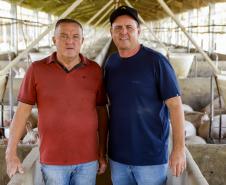 Biogás diminui custos de produção e gera renda para suinocultores de Pato Bragado