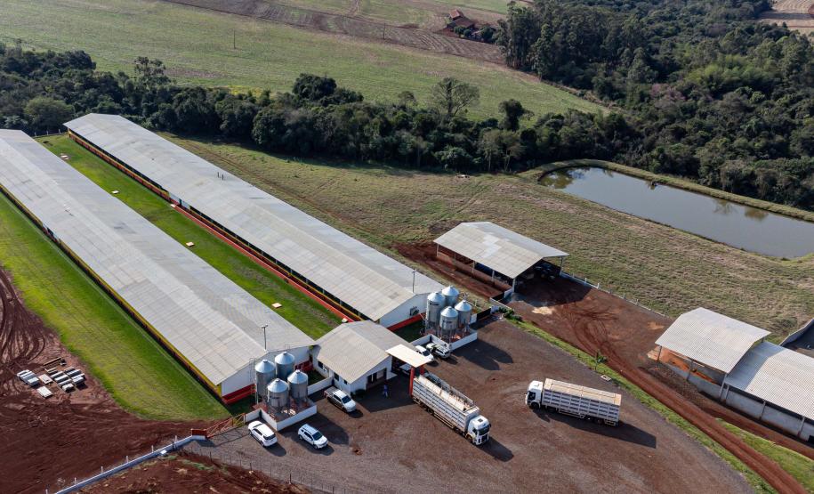 Com apoio do Estado, suinocultor instala biodigestor para produzir sustentavelmente