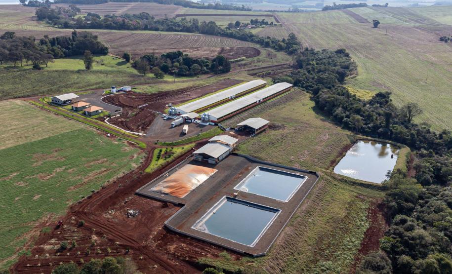 Com apoio do Estado, suinocultor instala biodigestor para produzir sustentavelmente