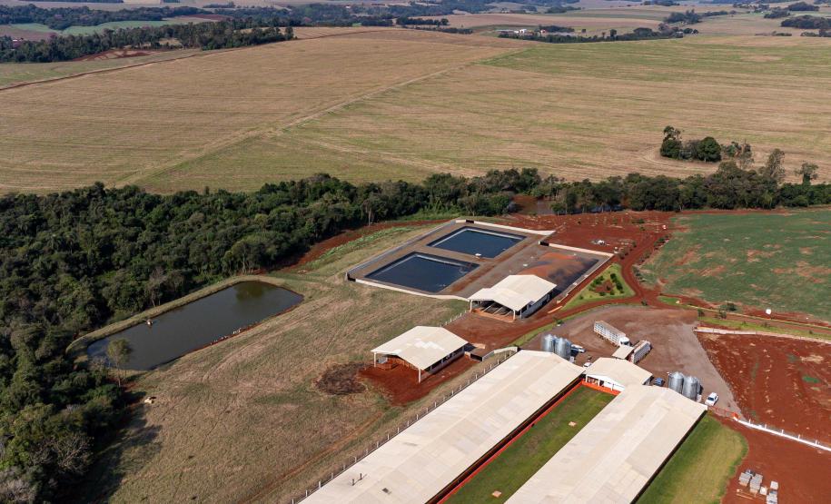 Com apoio do Estado, suinocultor instala biodigestor para produzir sustentavelmente