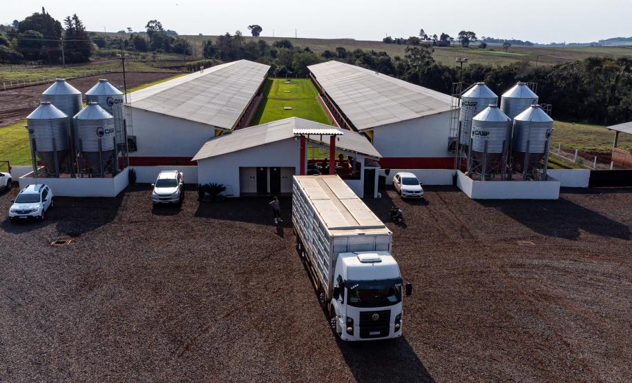 Com apoio do Estado, suinocultor instala biodigestor para produzir sustentavelmente