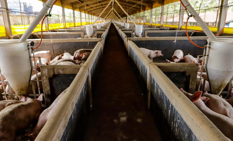 Usina de BioGás - produção de energia gerada a partir, neste caso, dos dejetos de suínos -, em Medianeira, região oeste do Paraná.