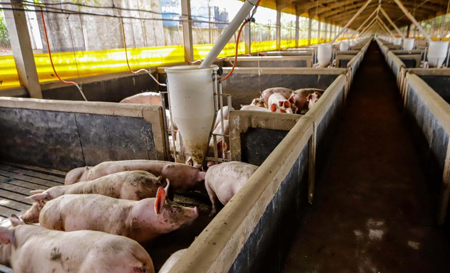 Usina de BioGás - produção de energia gerada a partir, neste caso, dos dejetos de suínos -, em Medianeira, região oeste do Paraná.