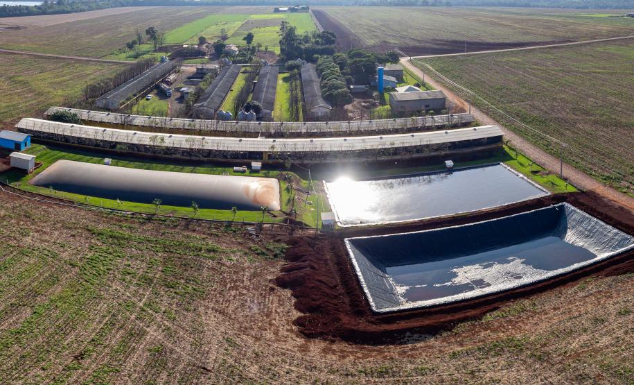 Biogás diminui custos de produção e gera renda para suinocultores de Pato Bragado