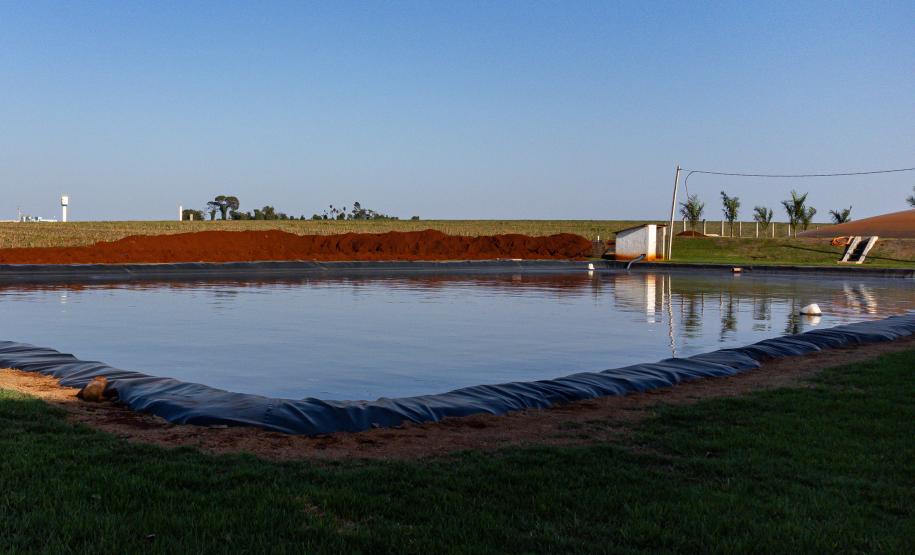 Biogás diminui custos de produção e gera renda para suinocultores de Pato Bragado