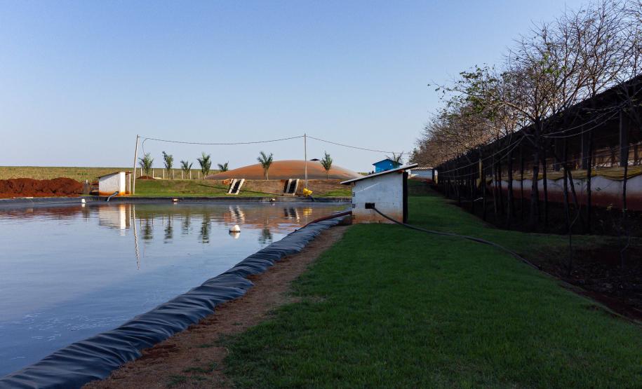 Biogás diminui custos de produção e gera renda para suinocultores de Pato Bragado