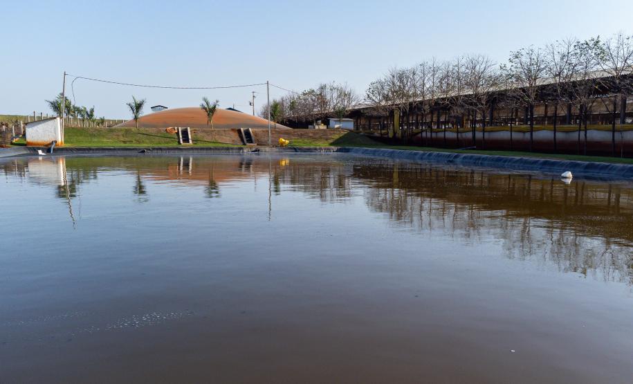 Biogás diminui custos de produção e gera renda para suinocultores de Pato Bragado
