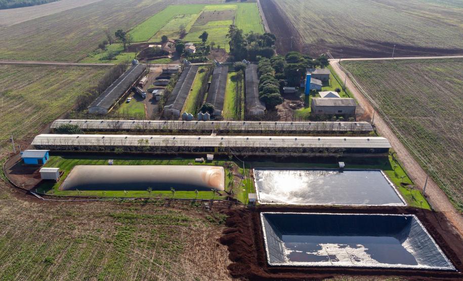 Biogás diminui custos de produção e gera renda para suinocultores de Pato Bragado