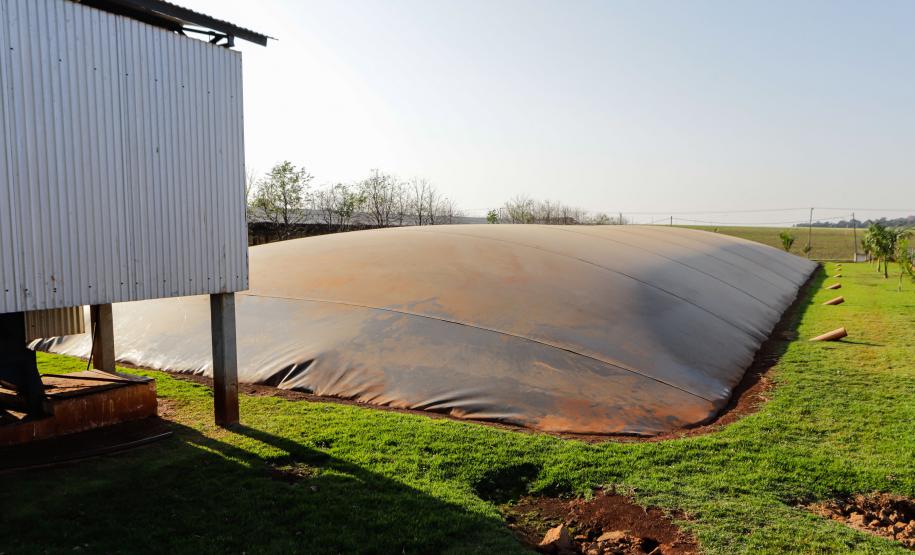 Biogás diminui custos de produção e gera renda para suinocultores de Pato Bragado