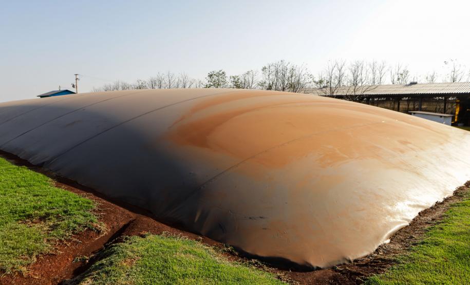 Biogás diminui custos de produção e gera renda para suinocultores de Pato Bragado
