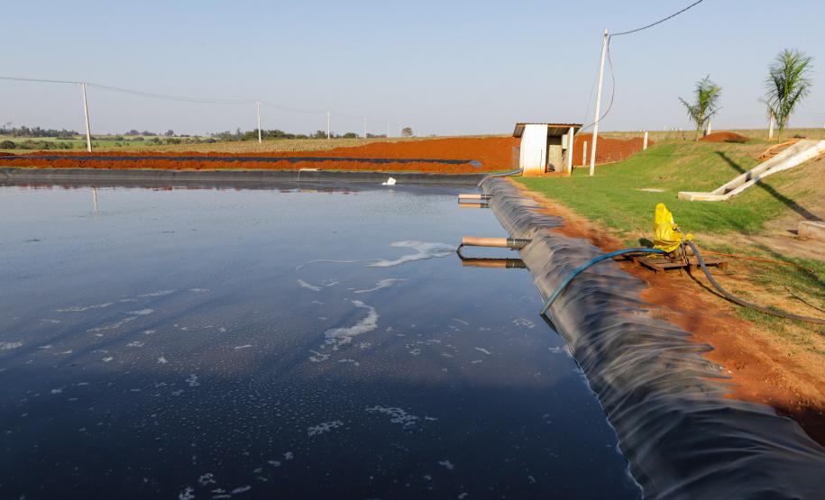 Biogás diminui custos de produção e gera renda para suinocultores de Pato Bragado