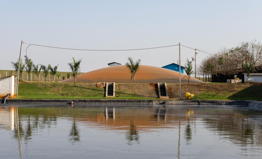 Biogás diminui custos de produção e gera renda para suinocultores de Pato Bragado