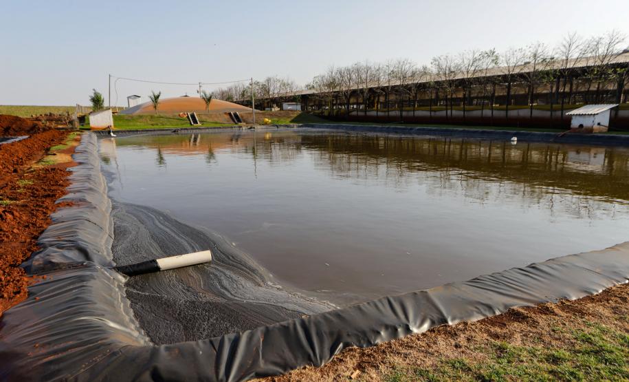 Biogás diminui custos de produção e gera renda para suinocultores de Pato Bragado