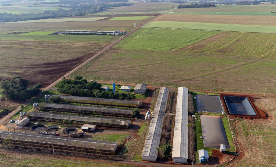 Biogás diminui custos de produção e gera renda para suinocultores de Pato Bragado