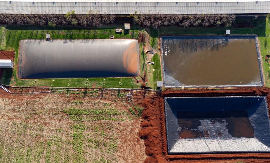 Produção de biogás a partir da suinocultura gera renda extra para produtores do Paraná