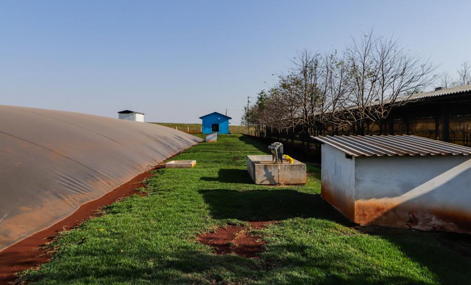 Biogás diminui custos de produção e gera renda para suinocultores de Pato Bragado