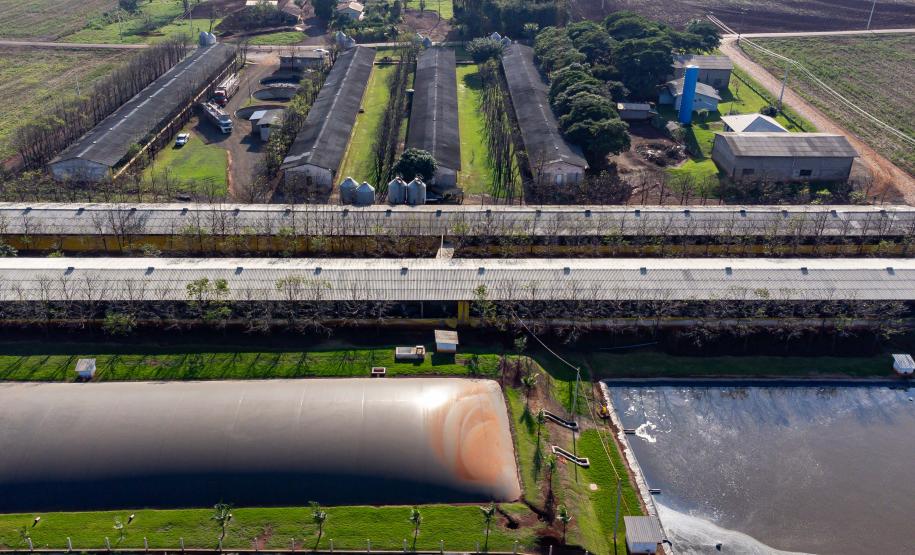 Biogás diminui custos de produção e gera renda para suinocultores de Pato Bragado