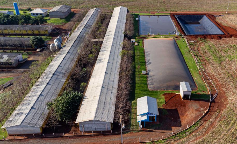 Biogás diminui custos de produção e gera renda para suinocultores de Pato Bragado