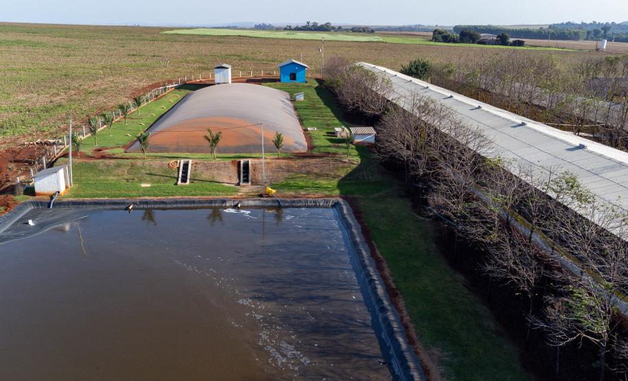 Biogás diminui custos de produção e gera renda para suinocultores de Pato Bragado