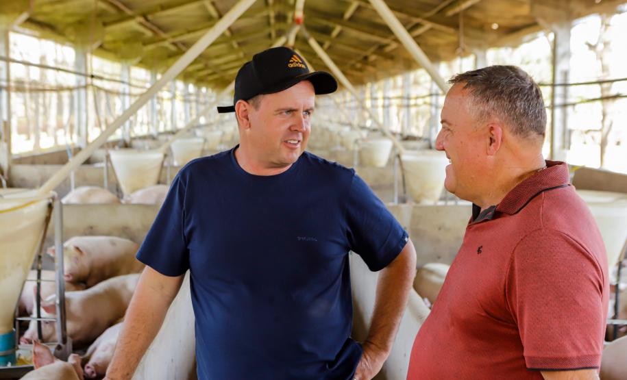 Biogás diminui custos de produção e gera renda para suinocultores de Pato Bragado